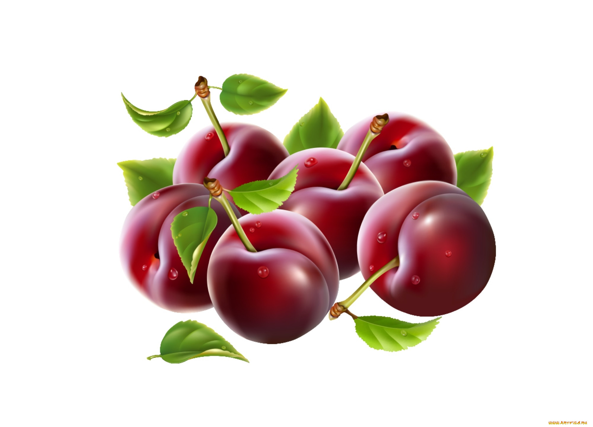 ,  , food, , , 